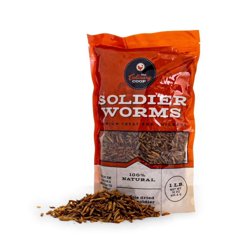 Fluker's Culinary Coop Premium Chicken Treats, Dried Soldier Worms, Packed with Protein and Calcium, 100% Natural Rich Grubs for Chicken, Backyard Birds, and Reptiles, 16 oz - Image 3